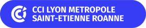 logo de la CCI Lyon Métropole Saint Etienne Roanne